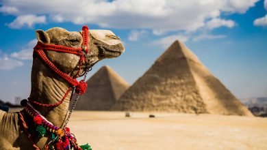 مصر