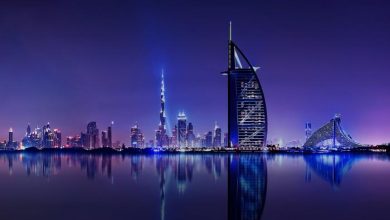 الشيخ محمد بن راشد يعلن إطلاق مشروع "وادي تكنولوجيا الغذاء"