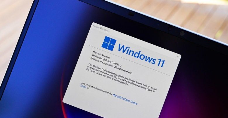 Windows 11